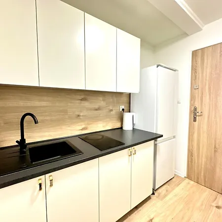Apartment Leszczynki Iv
